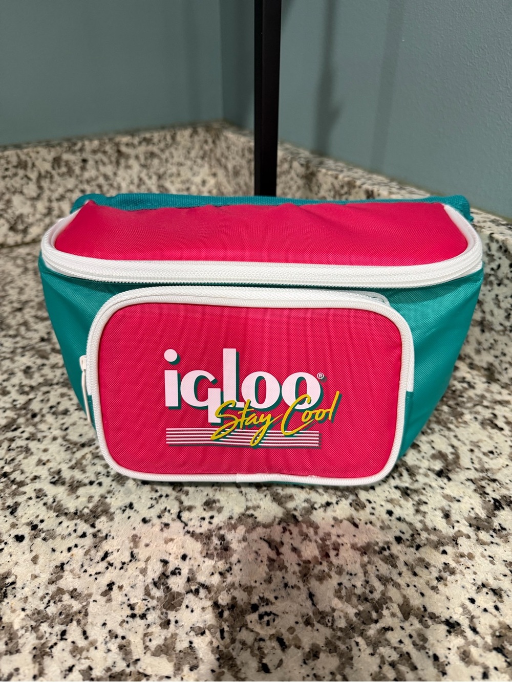 Igloo Teal and Hot Pink Travel Cooler Bag